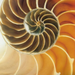 De huidige afbeelding heeft geen alternatieve tekst. De bestandsnaam is: tinnitus.png