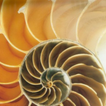 De huidige afbeelding heeft geen alternatieve tekst. De bestandsnaam is: tinnitus-e1771355657429.png